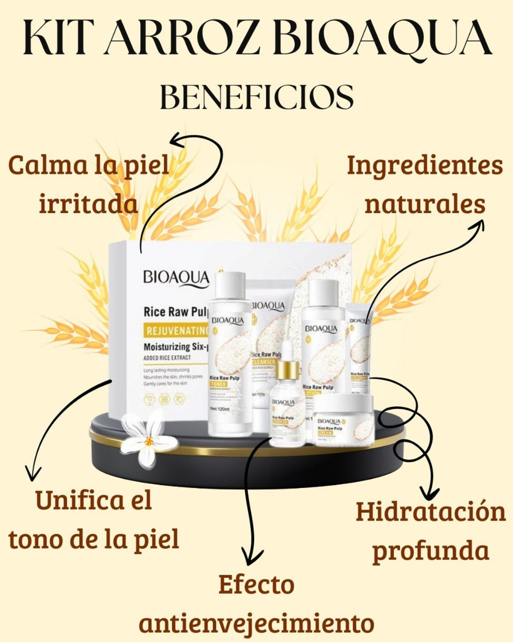 "Kit De Cuidado Facial BIOAQUA – RICE RAW PULP"